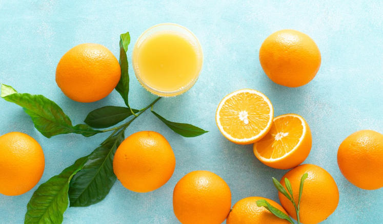 留坝县桑园坝瑞丰源猪苓企业公司轮播图2